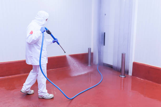 Best Patio and Deck Pressure Washing  in Mead Valley, CA