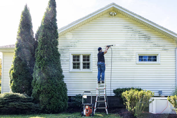 Best Driveway Pressure Washing  in Mead Valley, CA
